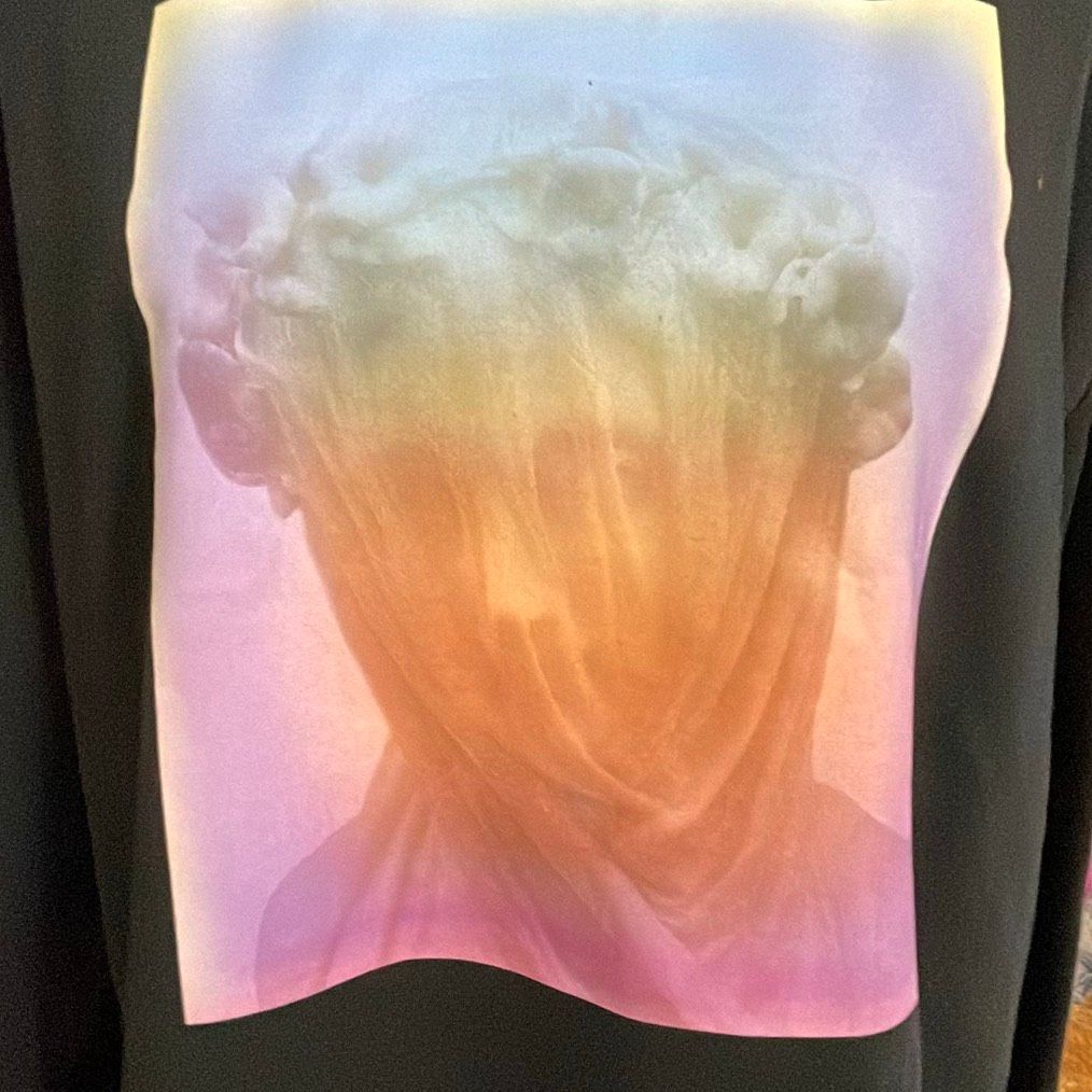 Outsider Supply Veiled Lady Streetwear Sweatshirt Size Small — image 5 of 8